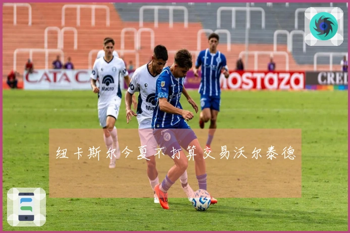 纽卡斯尔今夏不打算交易沃尔泰德