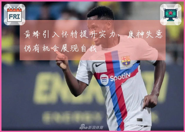 黄蜂引入怀特提升实力，康神失意仍有机会展现自我